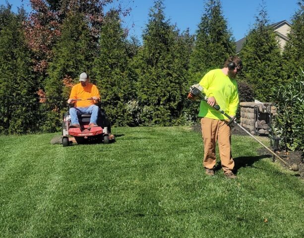 A man mowing a lawn with a lawn mower